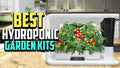 Lyko Smart Indoor Herb Garden