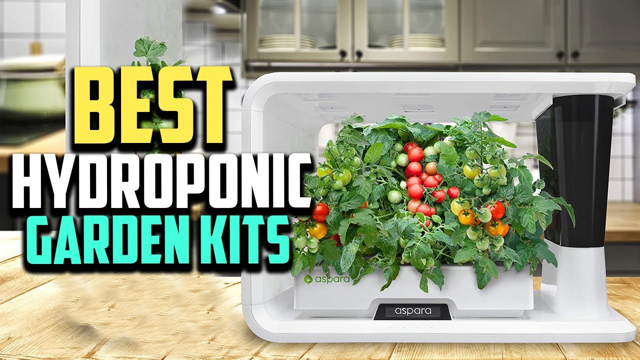 Lyko Smart Indoor Herb Garden