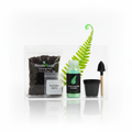 NeonRoot 'Glowing Fern' Farn-Zuchtset