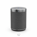 Premium HiFi Wireless Speaker