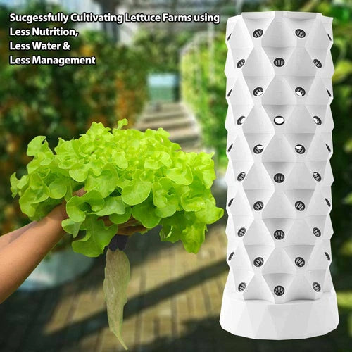 Click and Grow The Smart Garden 3