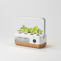 Smart Garden Countertop System "Urban Greens"