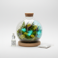 Starlight Moss Terrarium-Kit